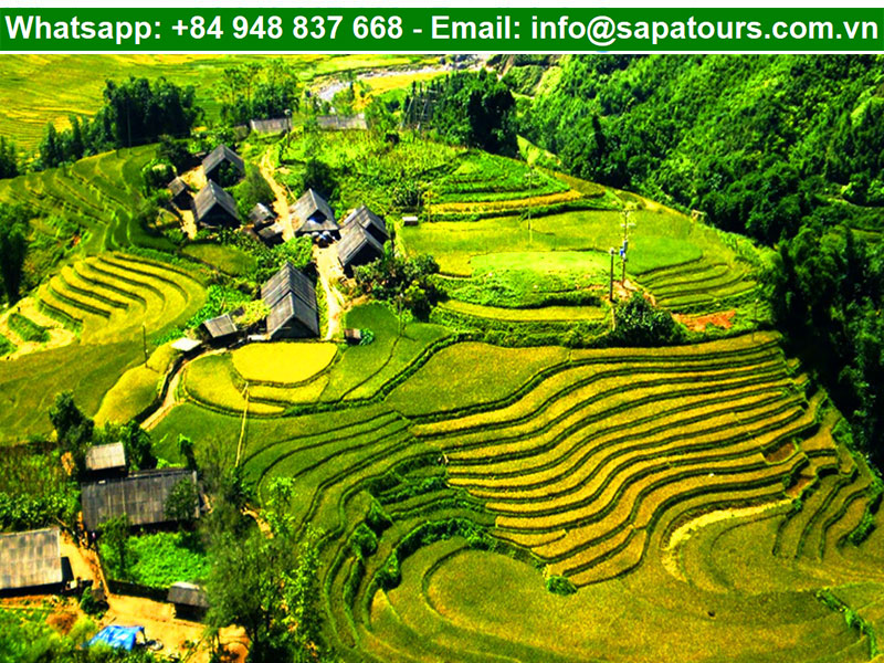 sapa-vietnam