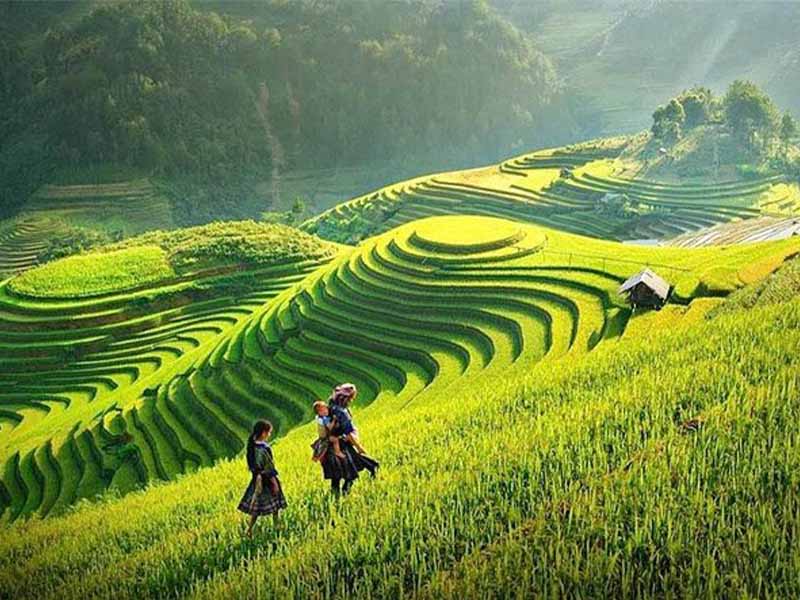 Sapa Tour 1 Day Visit Y Linh Ho - Lao Chai - Ta Van Village