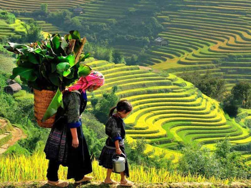 Sapa Tour 2 Days 1 Night Sleep in Homestay