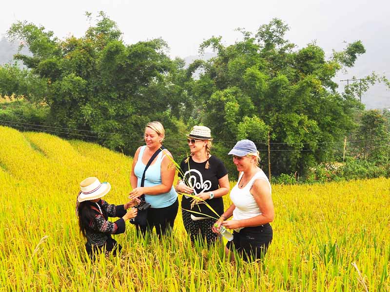Sapa Tour 3 Days 2 Nights Sleep in Homestay and Hotel