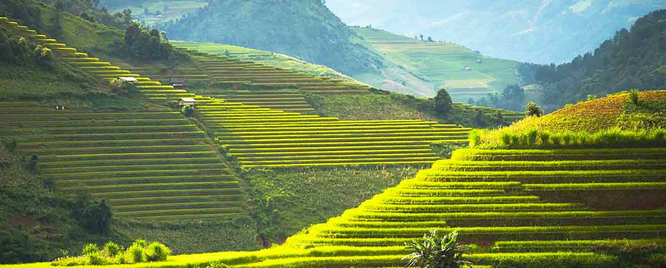 Sapa Tour 1 Day Visit Y Linh Ho - Lao Chai - Ta Van Village
