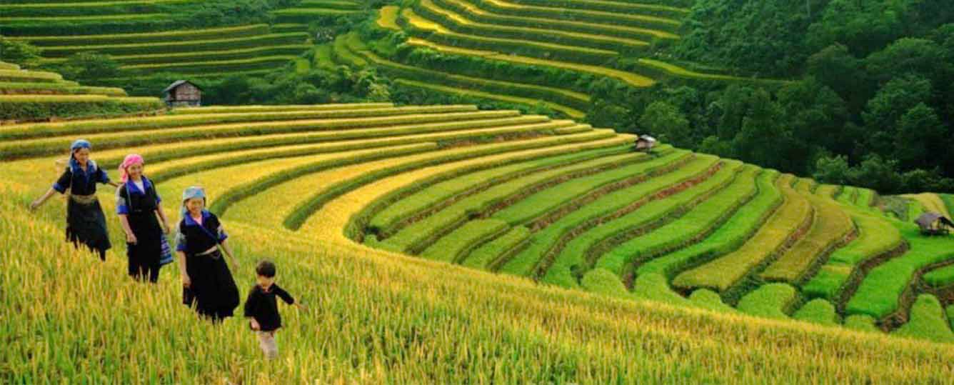 Sapa Tour 2 Days 1 Night Sleep in Homestay